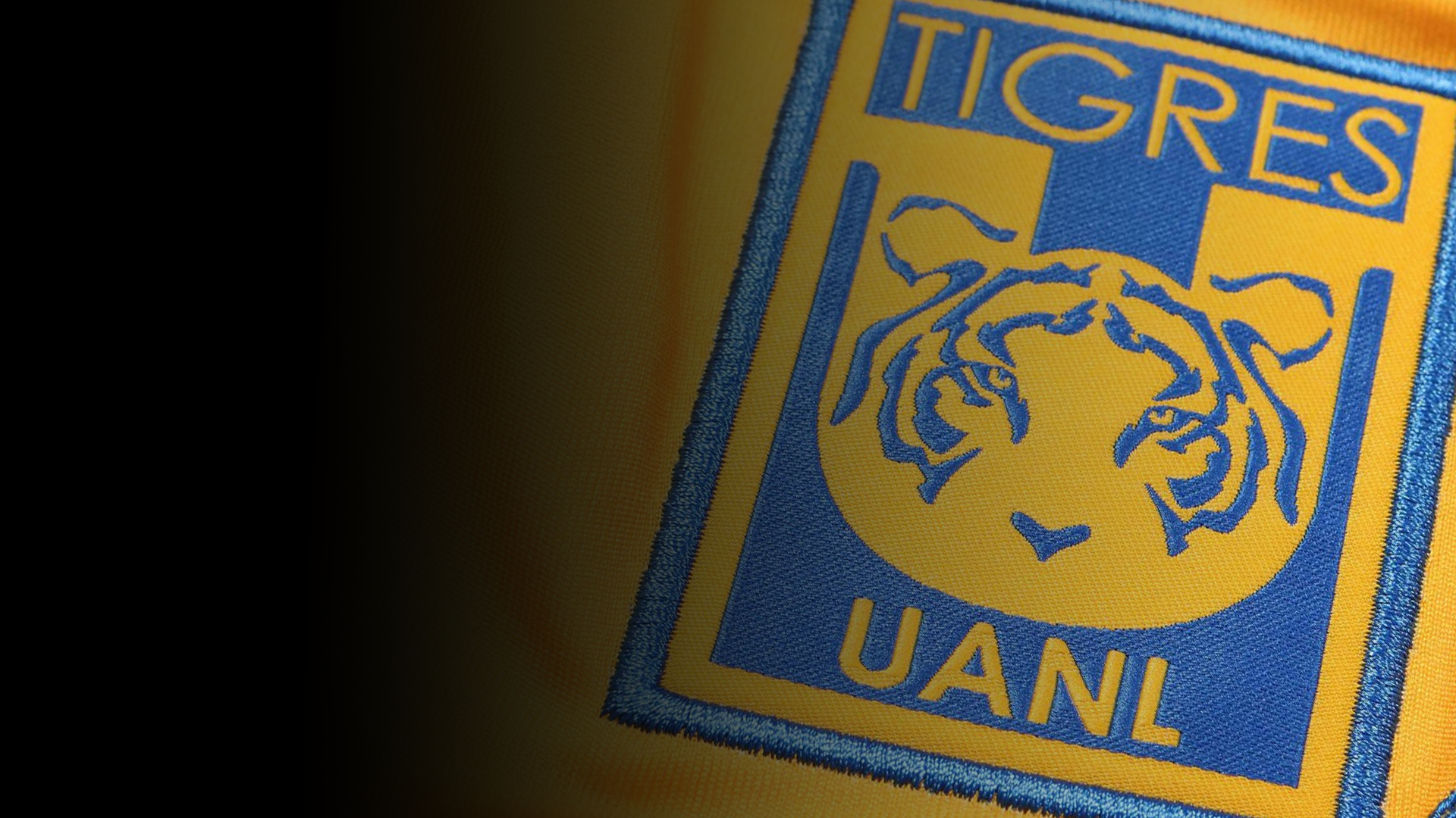 Tigres